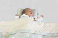 Babycuddle Head Pillow - Baby Sheep in Light Gray