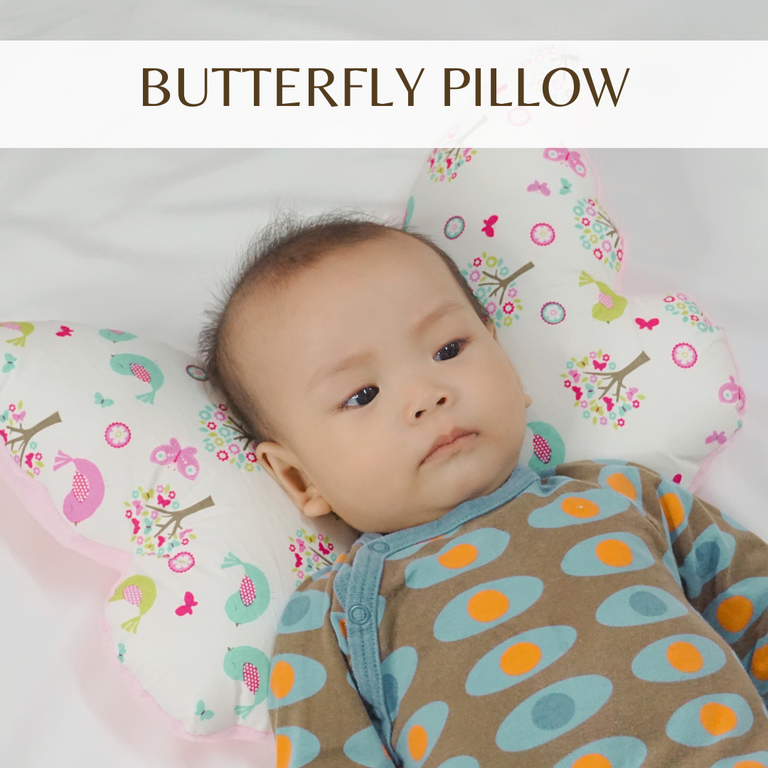 Butterfly Pillow
