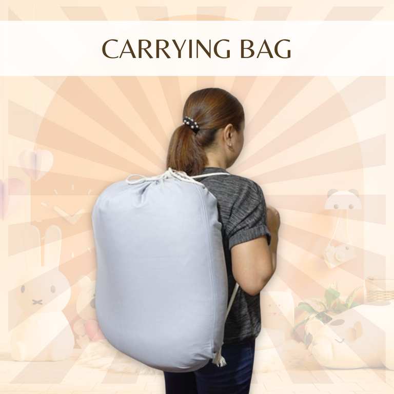 Carrying Bag