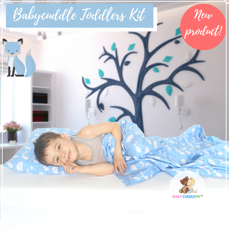 Little Fox in White Blue -  Babycuddleph Toddlers kit (Pillow & Blanket)