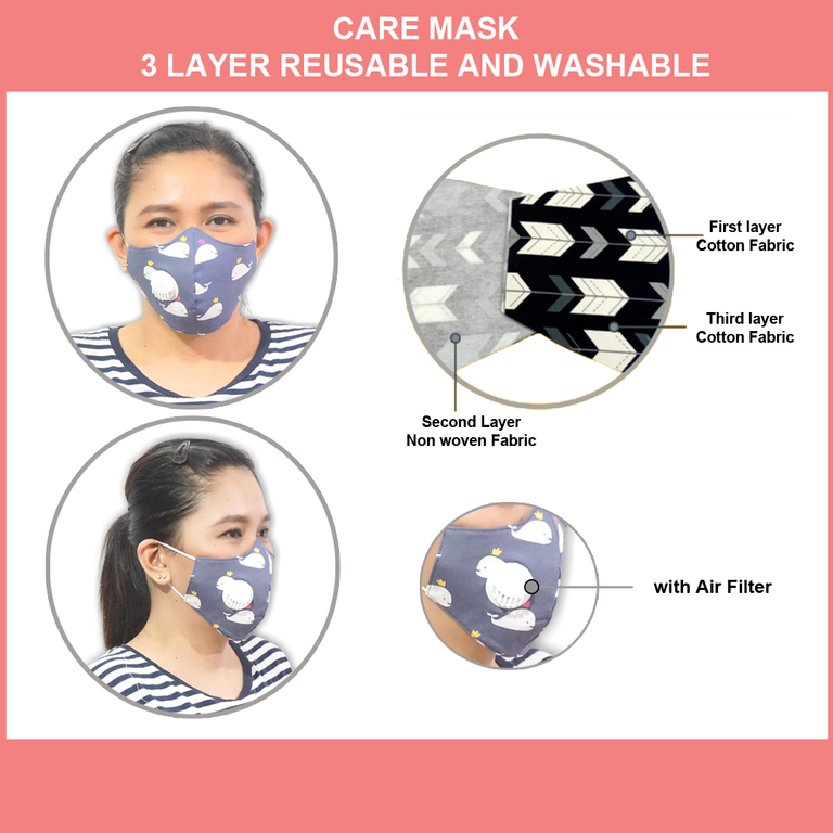 3 PCS Care Mask Adult Size - PLAIN DESIGN (with AIR FILTER)