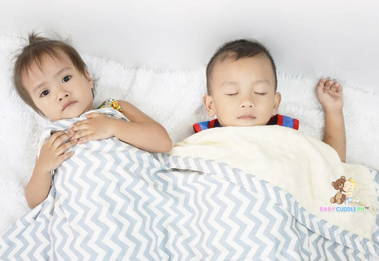 Birds and Butterflies  - Babycuddle Minky Blanket