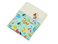 Baby Dolls in Teal - Babycuddle Minky Blanket