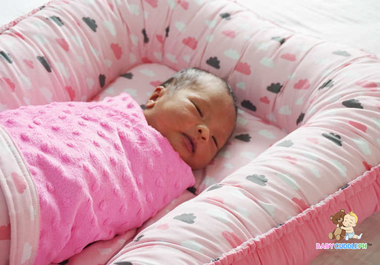 Birds and Butterflies  - Babycuddle Minky Blanket