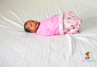 Birds and Butterflies  - Babycuddle Minky Blanket