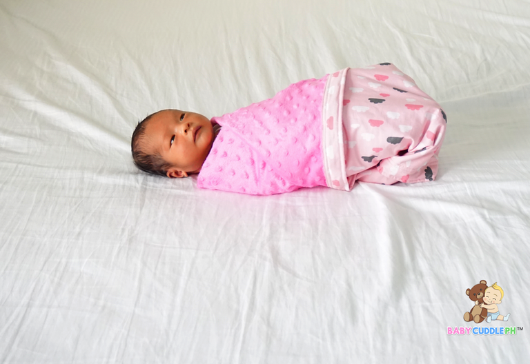 Birds and Butterflies  - Babycuddle Minky Blanket